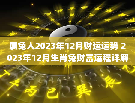 属兔人2023年12月财运运势 2023年12月生肖兔财富运程详解