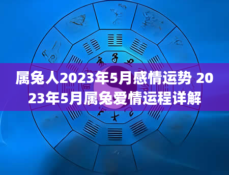 属兔人2023年5月感情运势 2023年5月属兔爱情运程详解