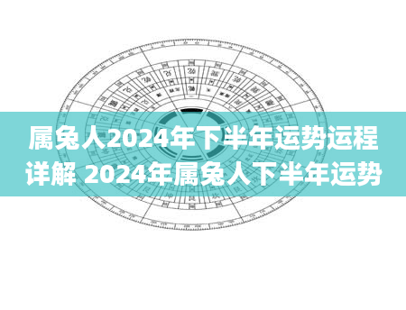 属兔人2024年下半年运势运程详解 2024年属兔人下半年运势