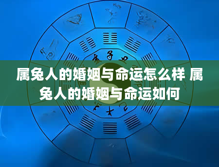 属兔人的婚姻与命运怎么样 属兔人的婚姻与命运如何