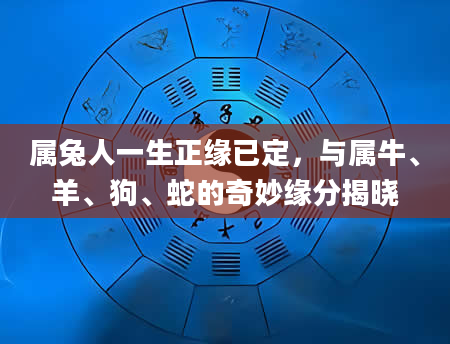 属兔人一生正缘已定，与属牛、羊、狗、蛇的奇妙缘分揭晓