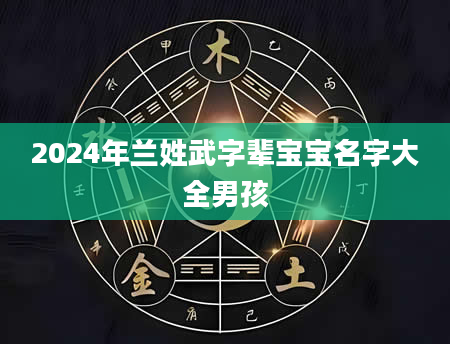 2024年兰姓武字辈宝宝名字大全男孩