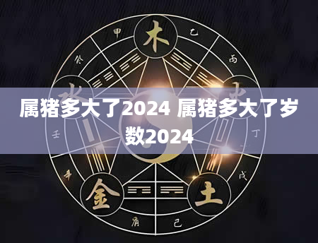 属猪多大了2024 属猪多大了岁数2024