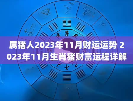 属猪人2023年11月财运运势 2023年11月生肖猪财富运程详解