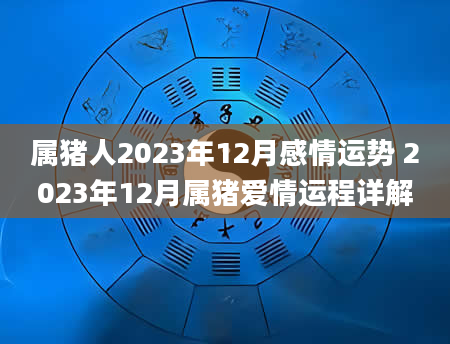 属猪人2023年12月感情运势 2023年12月属猪爱情运程详解