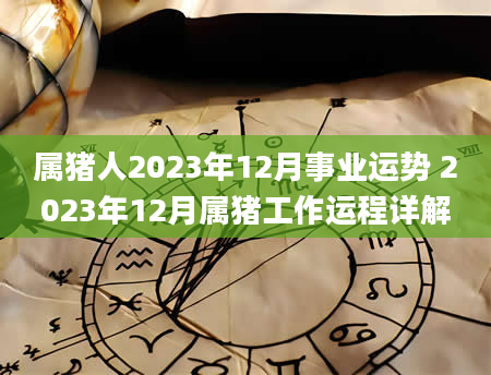 属猪人2023年12月事业运势 2023年12月属猪工作运程详解