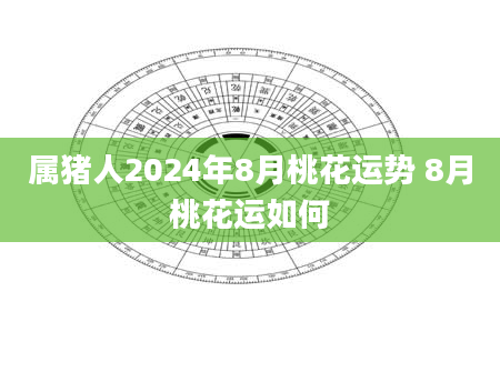 属猪人2024年8月桃花运势 8月桃花运如何