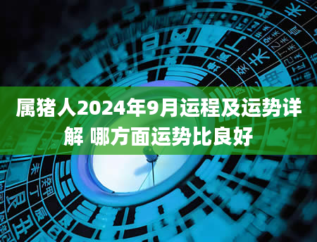 属猪人2024年9月运程及运势详解 哪方面运势比良好