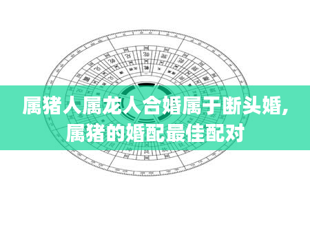 属猪人属龙人合婚属于断头婚,属猪的婚配最佳配对