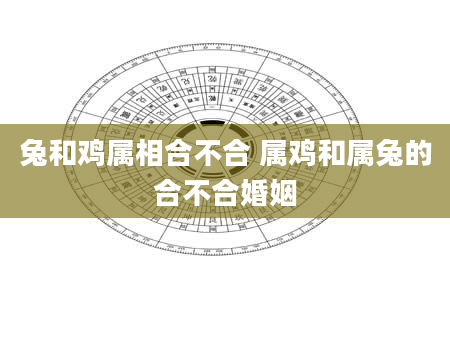 兔和鸡属相合不合 属鸡和属兔的合不合婚姻