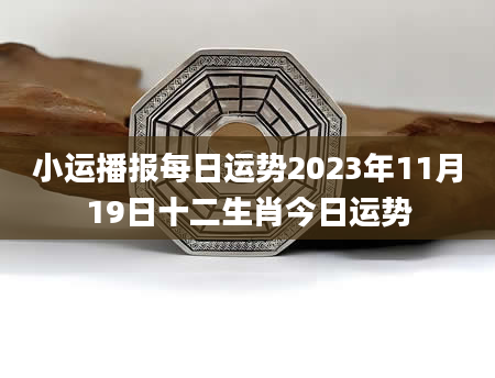 小运播报每日运势2023年11月19日十二生肖今日运势