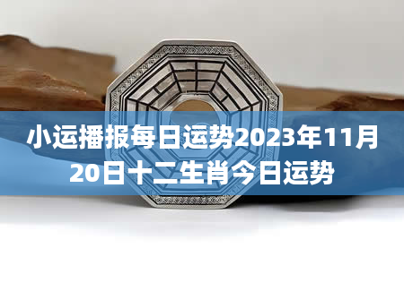 小运播报每日运势2023年11月20日十二生肖今日运势