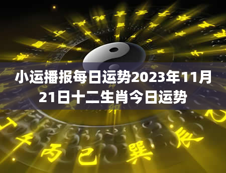 小运播报每日运势2023年11月21日十二生肖今日运势