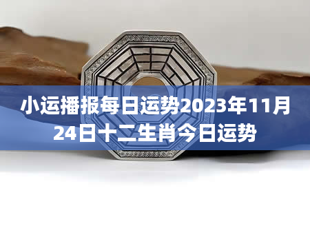 小运播报每日运势2023年11月24日十二生肖今日运势