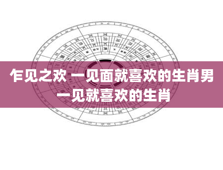 乍见之欢 一见面就喜欢的生肖男 一见就喜欢的生肖