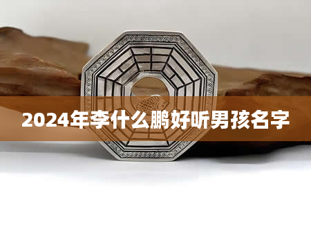 2024年李什么鹏好听男孩名字