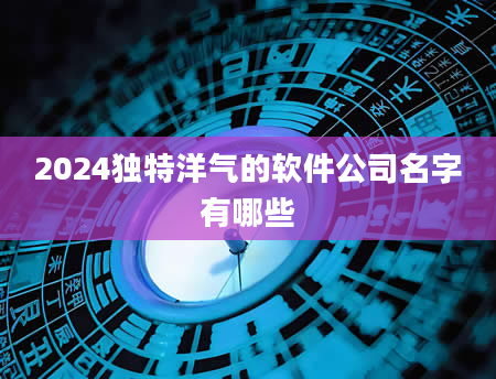 2024独特洋气的软件公司名字有哪些