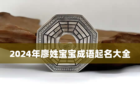 2024年廖姓宝宝成语起名大全