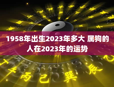 1958年出生2023年多大 属狗的人在2023年的运势