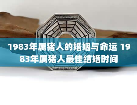 1983年属猪人的婚姻与命运 1983年属猪人最佳结婚时间