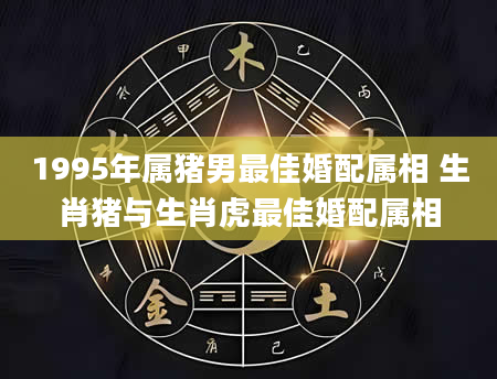 1995年属猪男最佳婚配属相 生肖猪与生肖虎最佳婚配属相