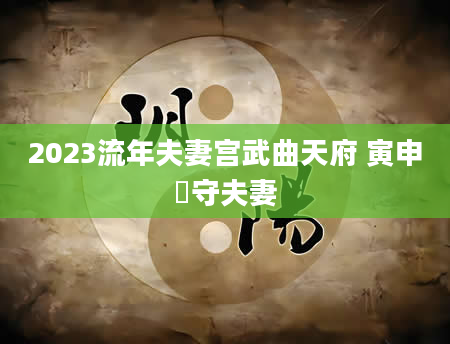 2023流年夫妻宫武曲天府 寅申宮守夫妻