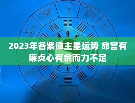 2023年各紫微主星运势 命宫有廉贞心有余而力不足