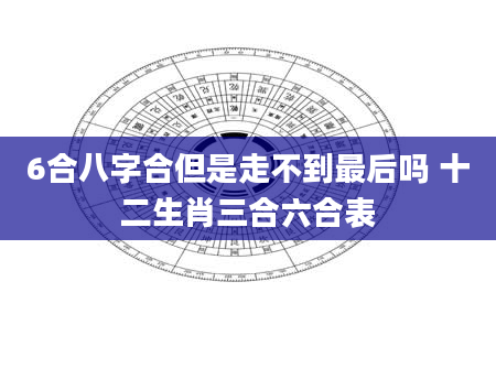 6合八字合但是走不到最后吗 十二生肖三合六合表