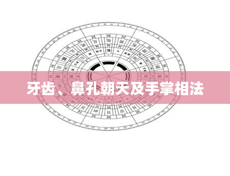 牙齿、鼻孔朝天及手掌相法