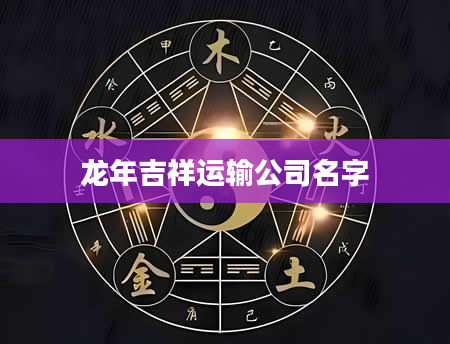 龙年吉祥运输公司名字