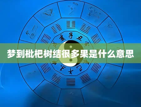 梦到枇杷树结很多果是什么意思