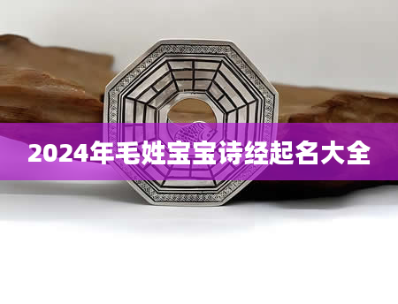 2024年毛姓宝宝诗经起名大全