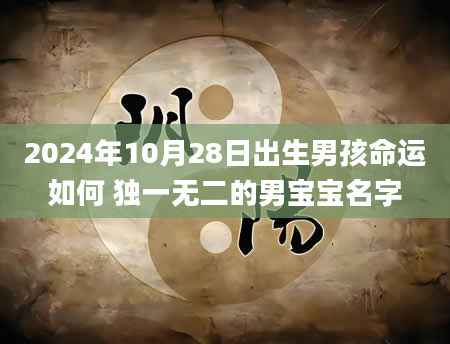 2024年10月28日出生男孩命运如何 独一无二的男宝宝名字