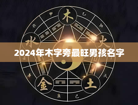 2024年木字旁最旺男孩名字