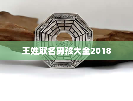 王姓取名男孩大全2018