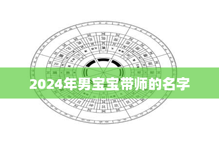 2024年男宝宝带师的名字