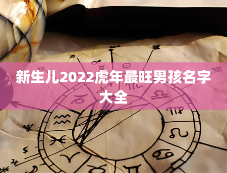 新生儿2022虎年最旺男孩名字大全