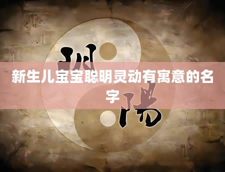 新生儿宝宝聪明灵动有寓意的名字