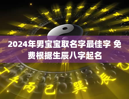 2024年男宝宝取名字最佳字 免费根据生辰八字起名