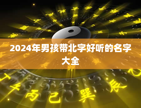 2024年男孩带北字好听的名字大全