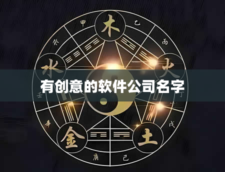 有创意的软件公司名字