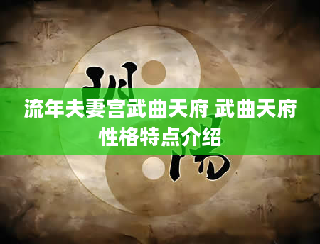 流年夫妻宫武曲天府 武曲天府性格特点介绍