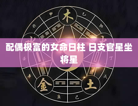 配偶极富的女命日柱 日支官星坐将星