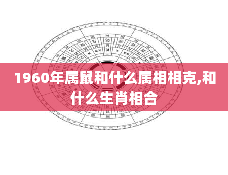 1960年属鼠和什么属相相克,和什么生肖相合