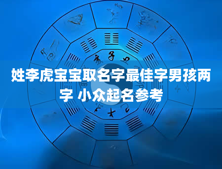 姓李虎宝宝取名字最佳字男孩两字 小众起名参考