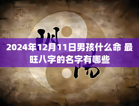 2024年12月11日男孩什么命 最旺八字的名字有哪些