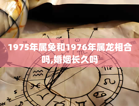 1975年属兔和1976年属龙相合吗,婚姻长久吗