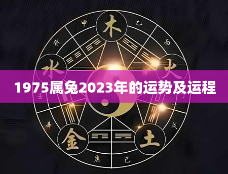 1975属兔2023年的运势及运程