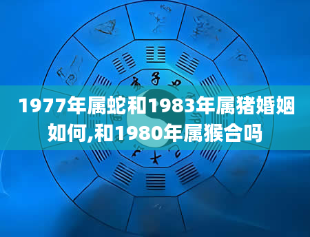 1977年属蛇和1983年属猪婚姻如何,和1980年属猴合吗