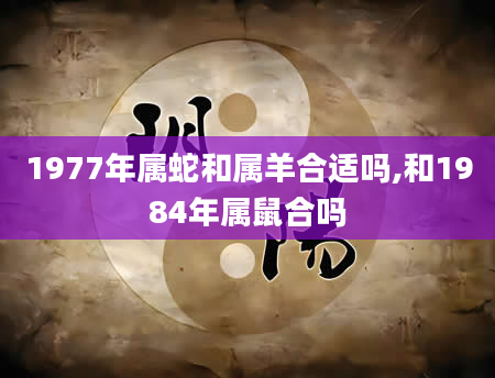 1977年属蛇和属羊合适吗,和1984年属鼠合吗